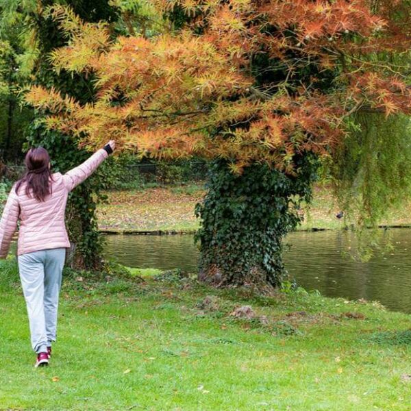 Mind-walk training cursus